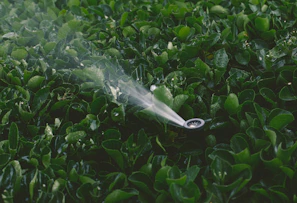 A lush garden with a drip irrigation system gently watering vibrant flowers and shrubs.