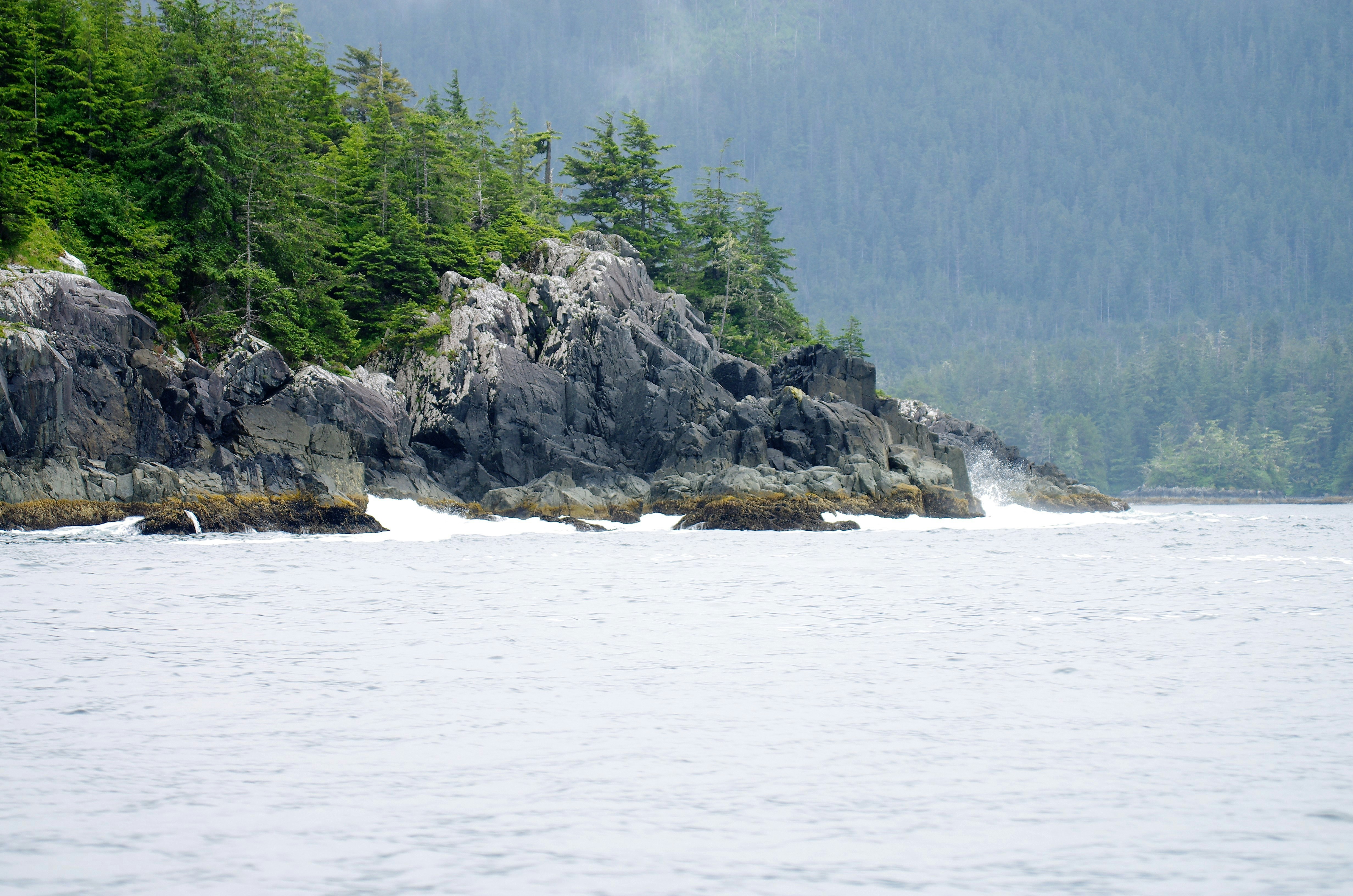 Photo by icehoundphotography