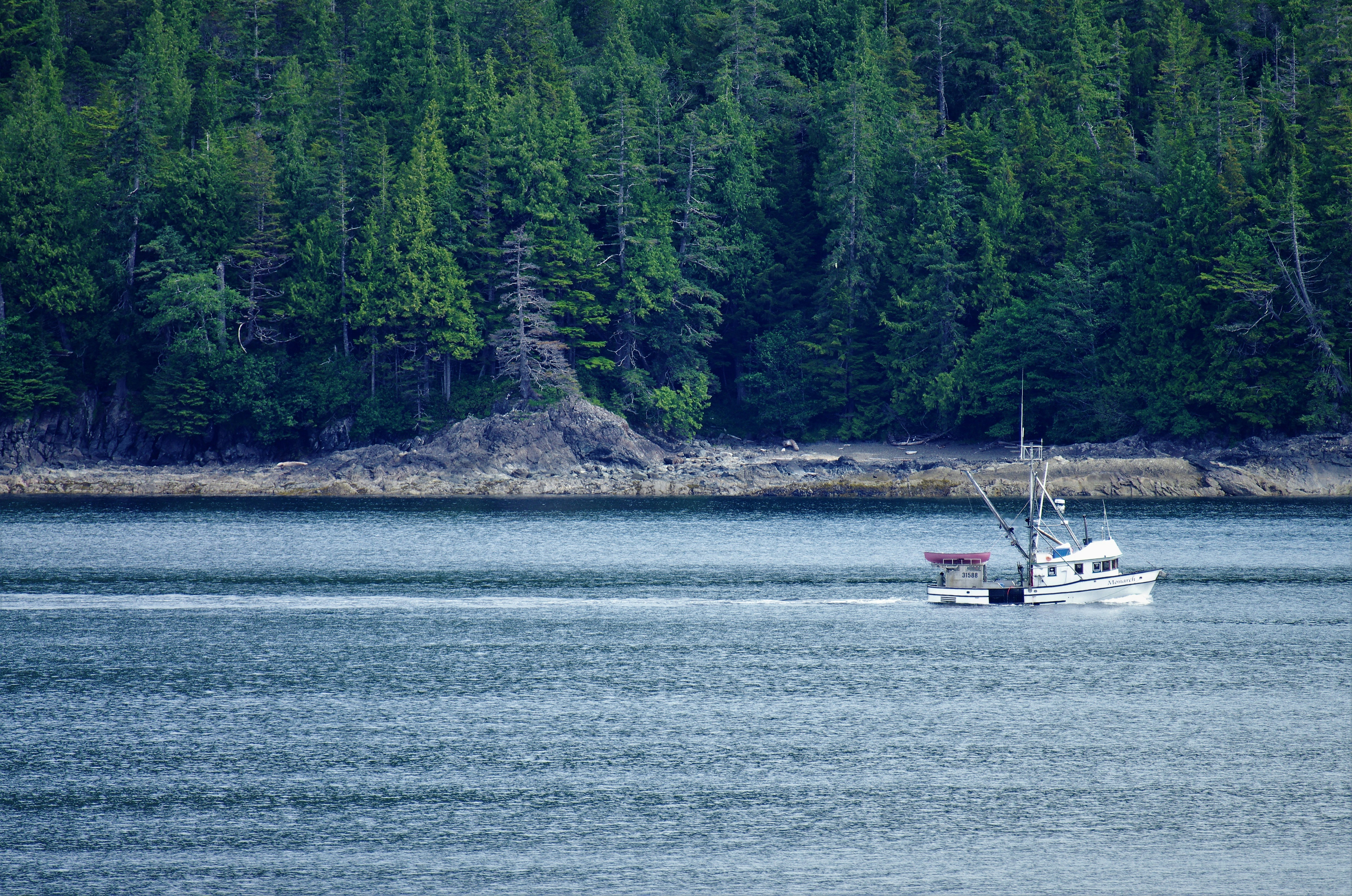 Photo by icehoundphotography