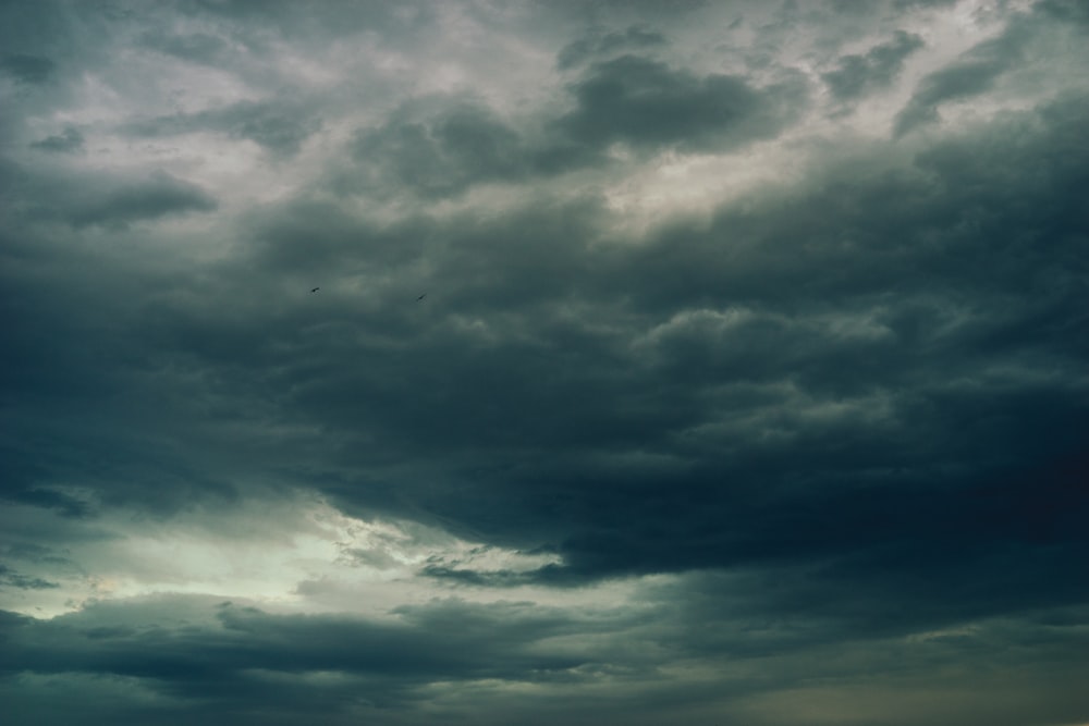 white and gray clouds