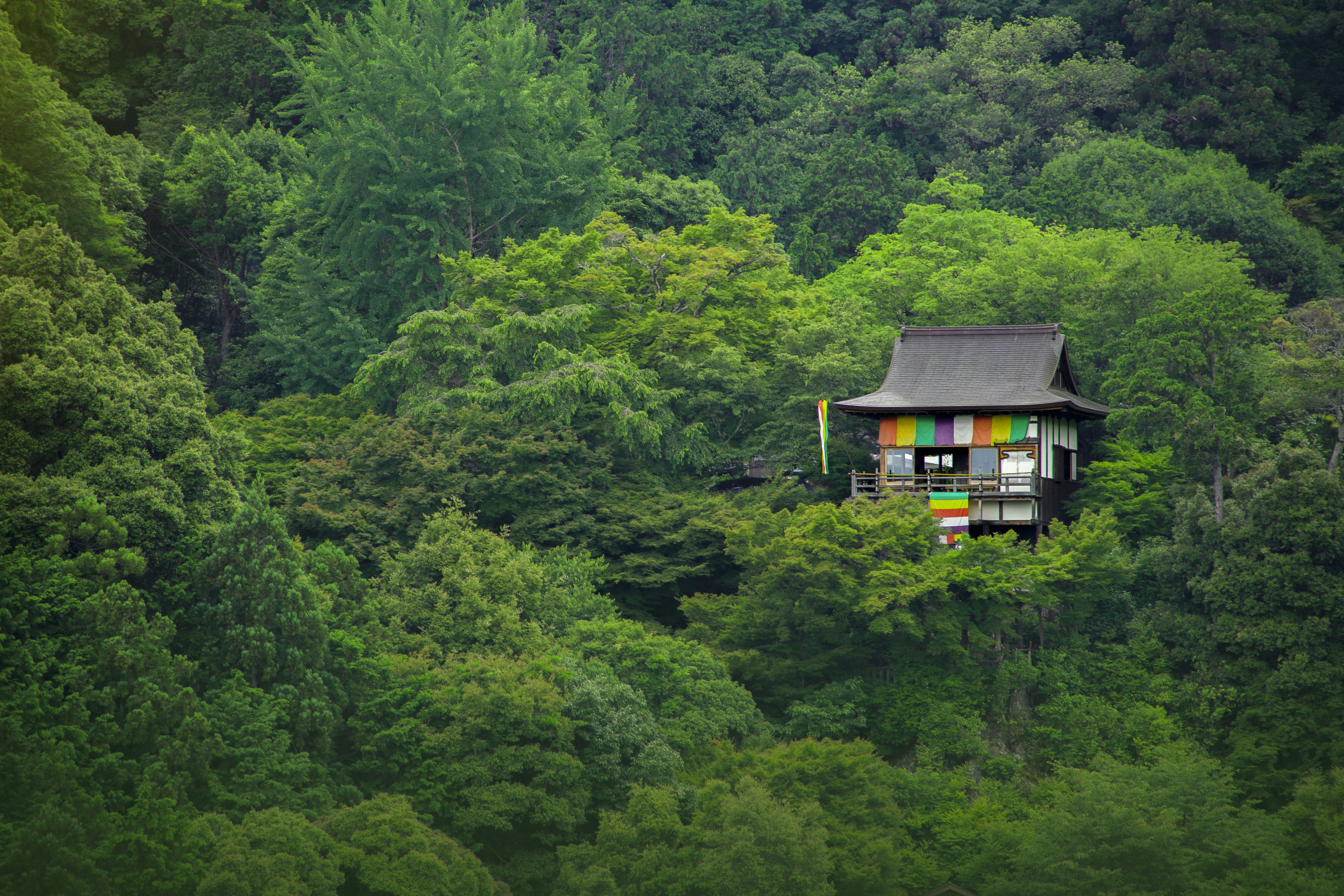 Complete Beginner’s Guide to Buying Akiya in Japan