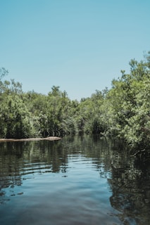 A serene water body reflecting the blue sky, symbolizing clean water management.