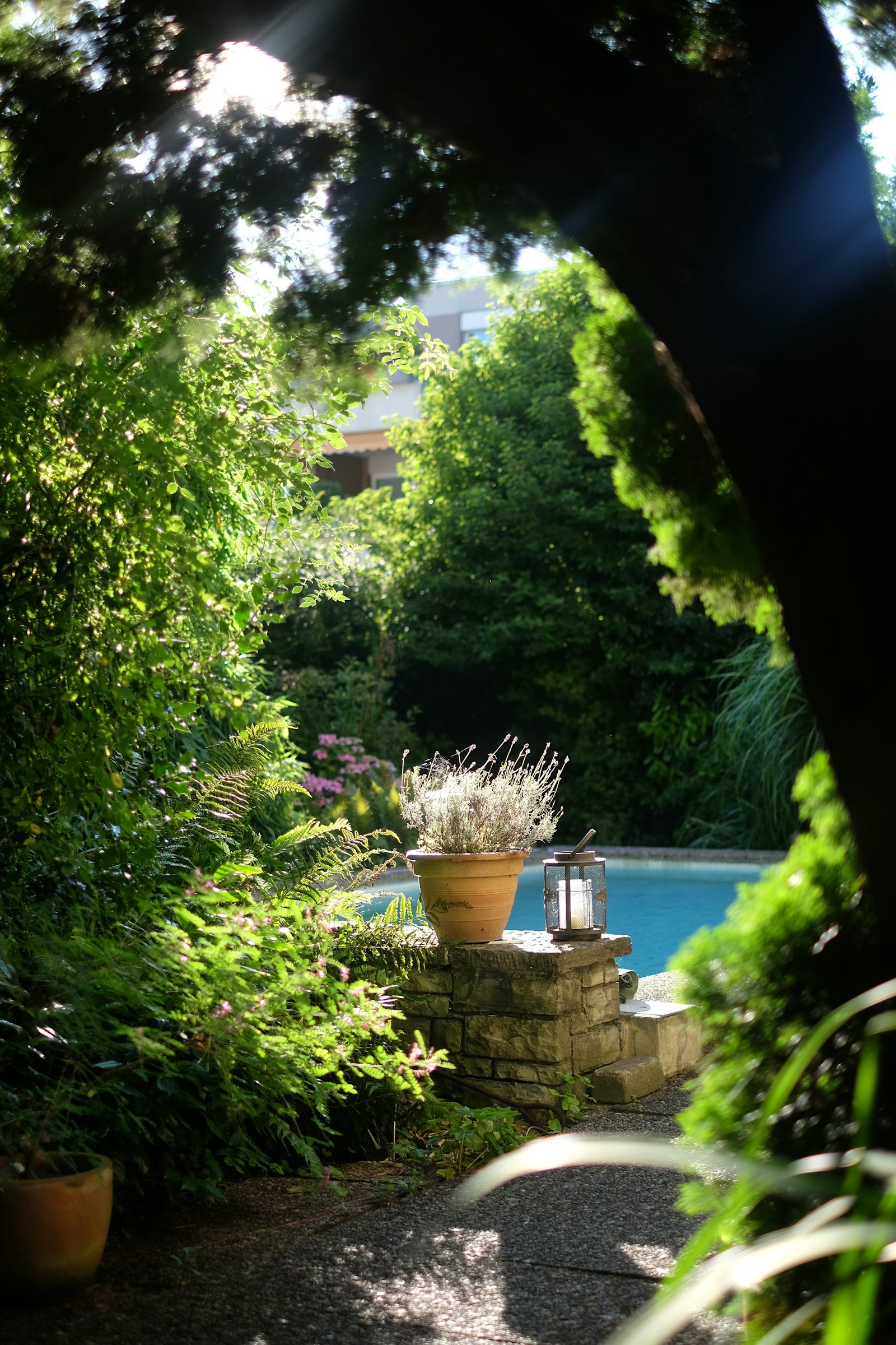 Drive up appeal: Get your property ready to show