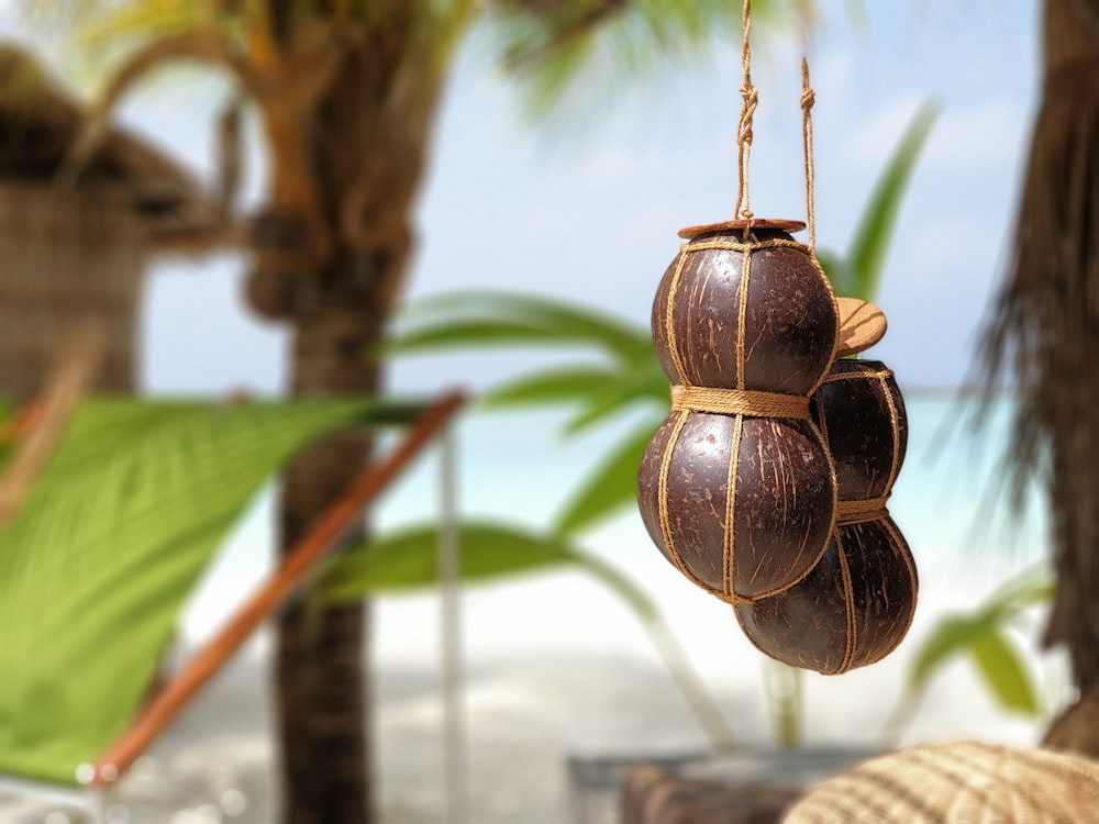 close-up photo of hanging coconut shell