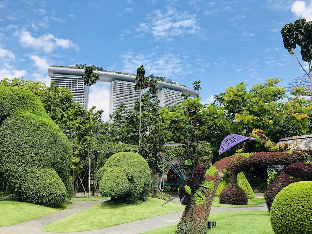 green hedges near Marina Bay Sands