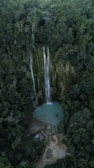 selective focus photography of waterfalls during daytime