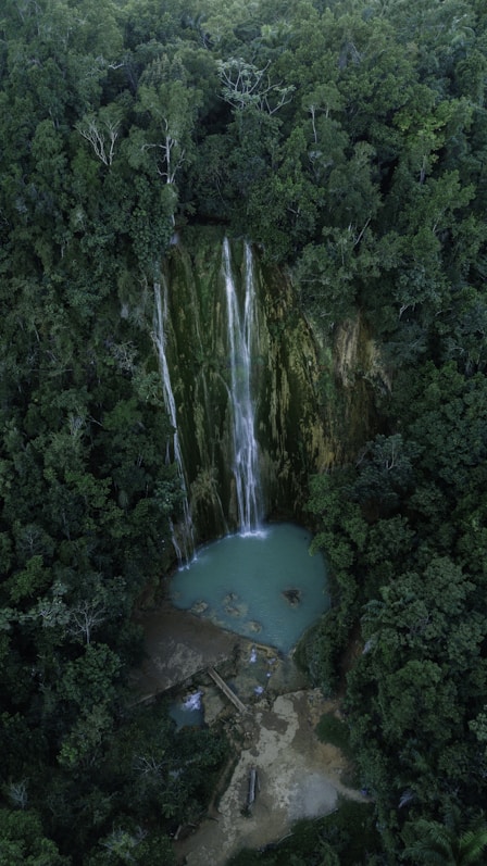 selective focus photography of waterfalls during daytime