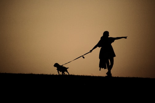 A silhouette of a person walking a dog on a leash during sunset. The person appears to be pointing towards the horizon, and the scene is set against a warm, golden background with a visible grassy hill in the foreground.