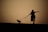 A silhouette of a person walking a dog on a leash during sunset. The person appears to be pointing towards the horizon, and the scene is set against a warm, golden background with a visible grassy hill in the foreground.