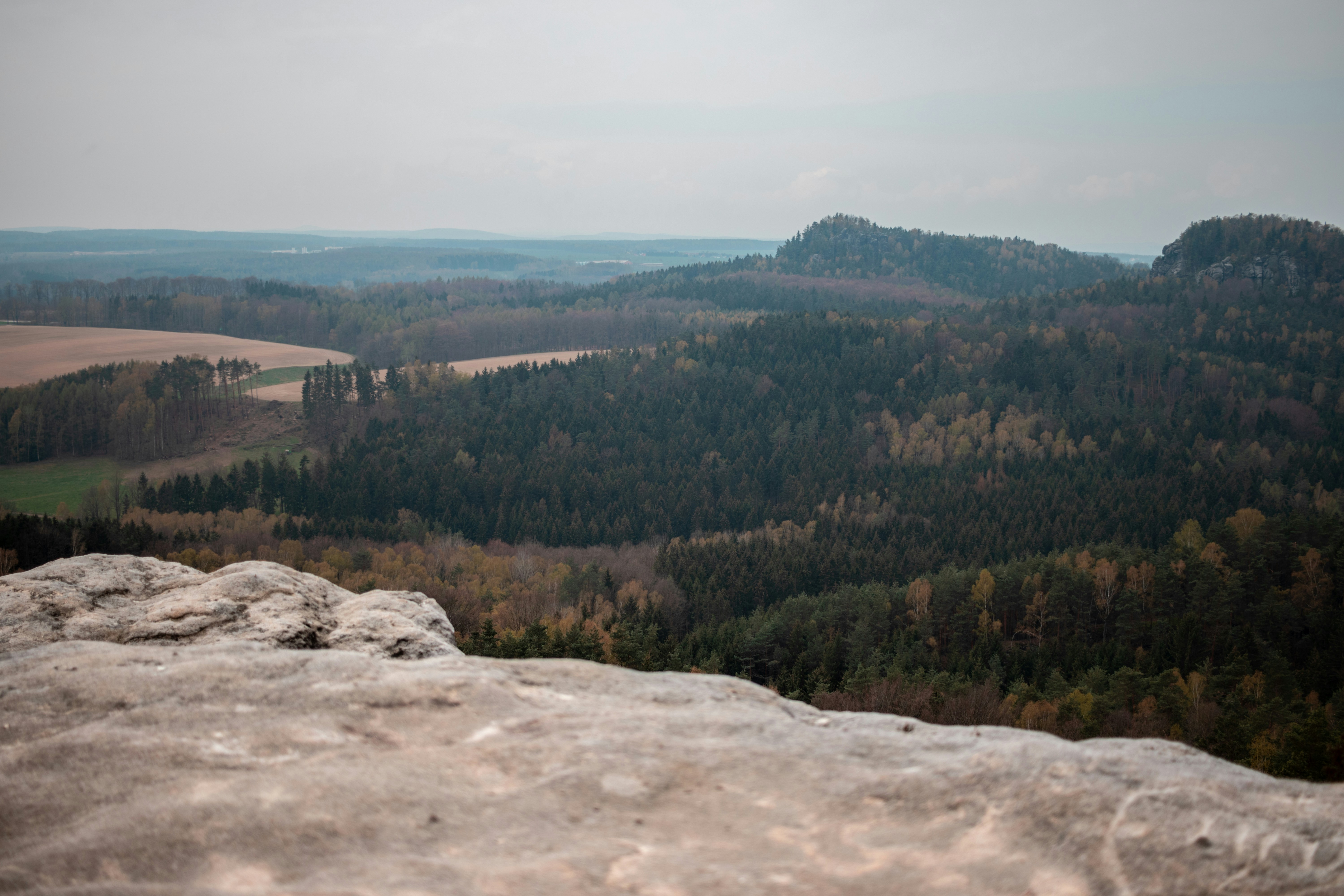 Photo by cris_kreativ