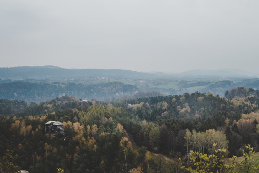 trees and mountains