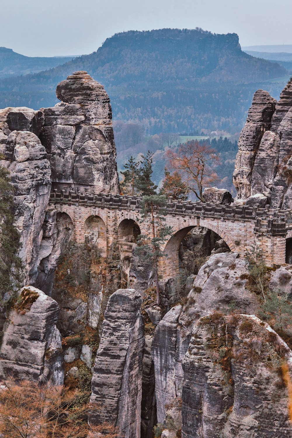 braune Hängebrücke