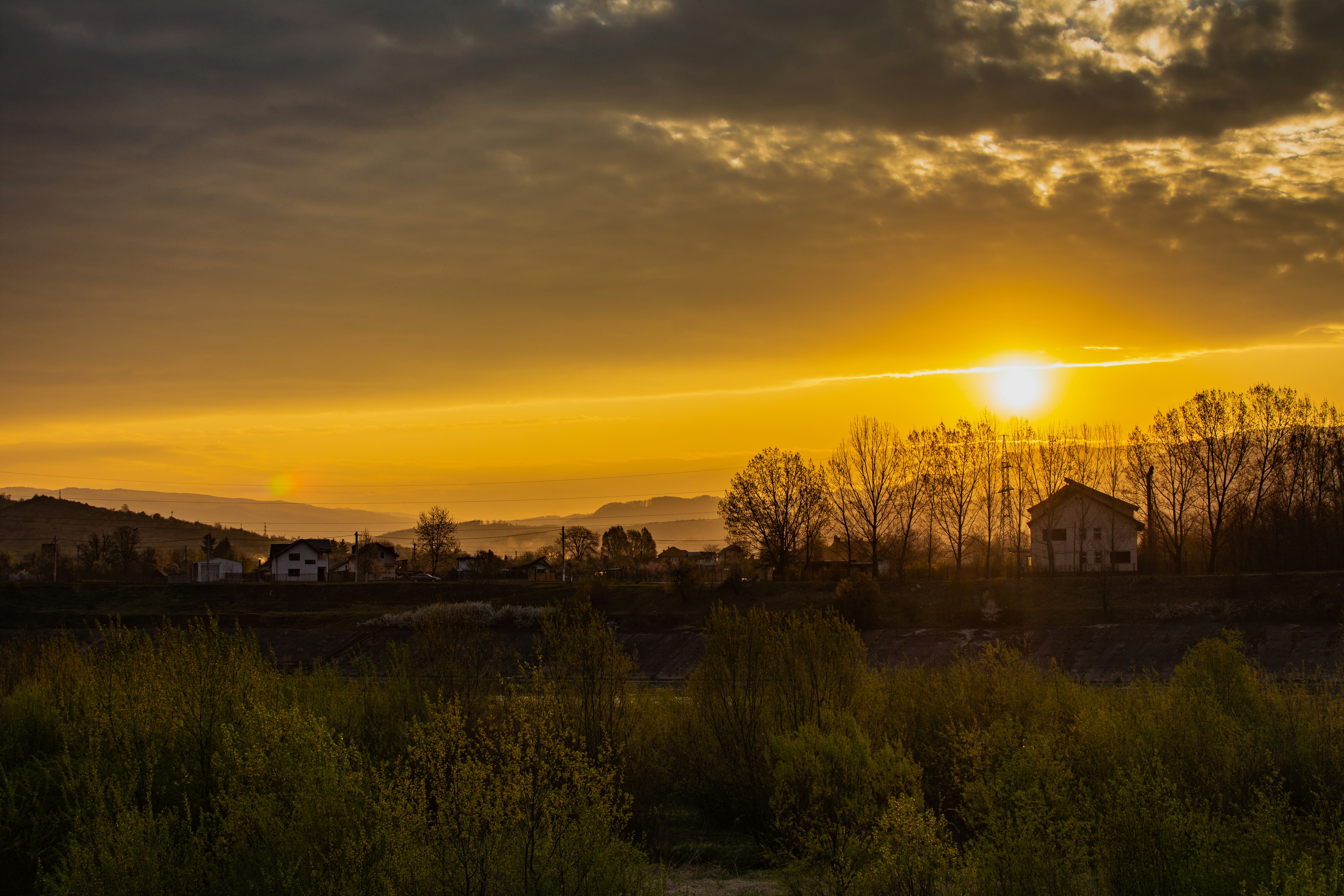 Photo by andreiterecoaasa