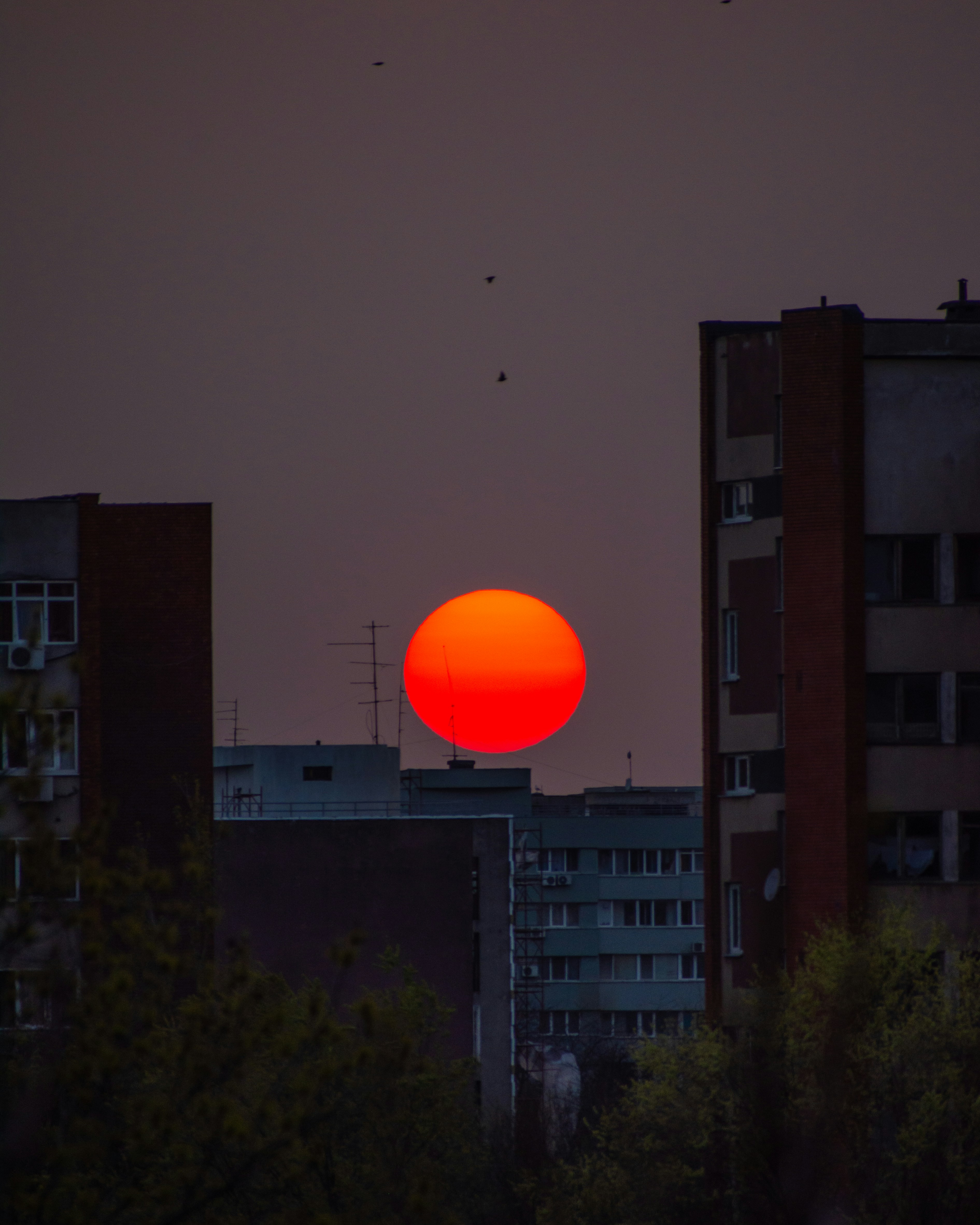 yellow and orange moon through buildings