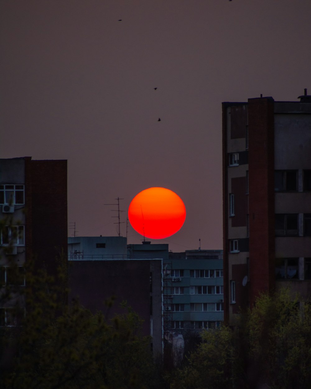 yellow and orange moon through buildings