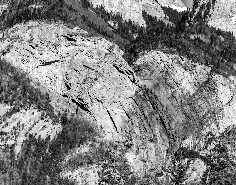high-angle photography of mountain and trees