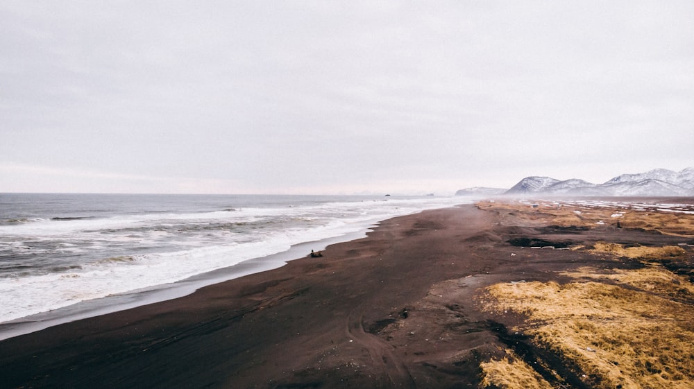 landscape photo of seashore during daytime