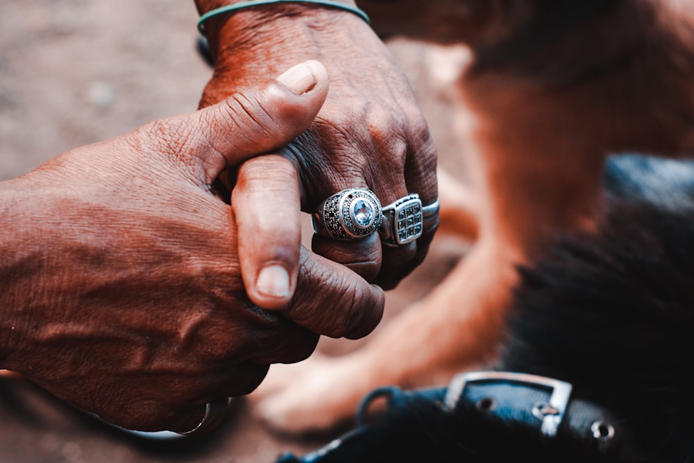 person's fingers with silver-colored rings