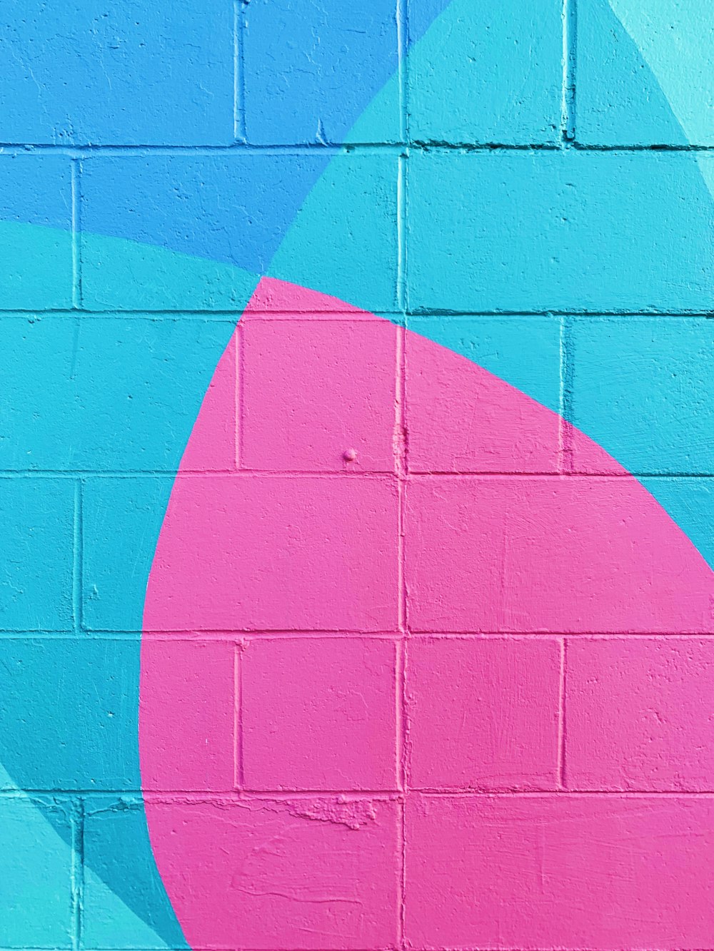 closeup photo of teal and pink wall