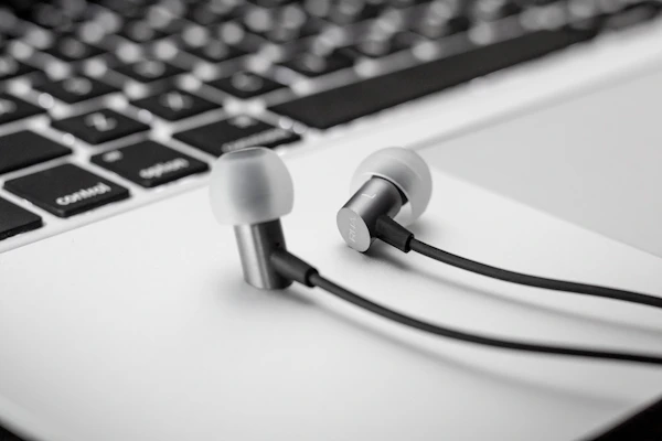 Wireless Earbuds