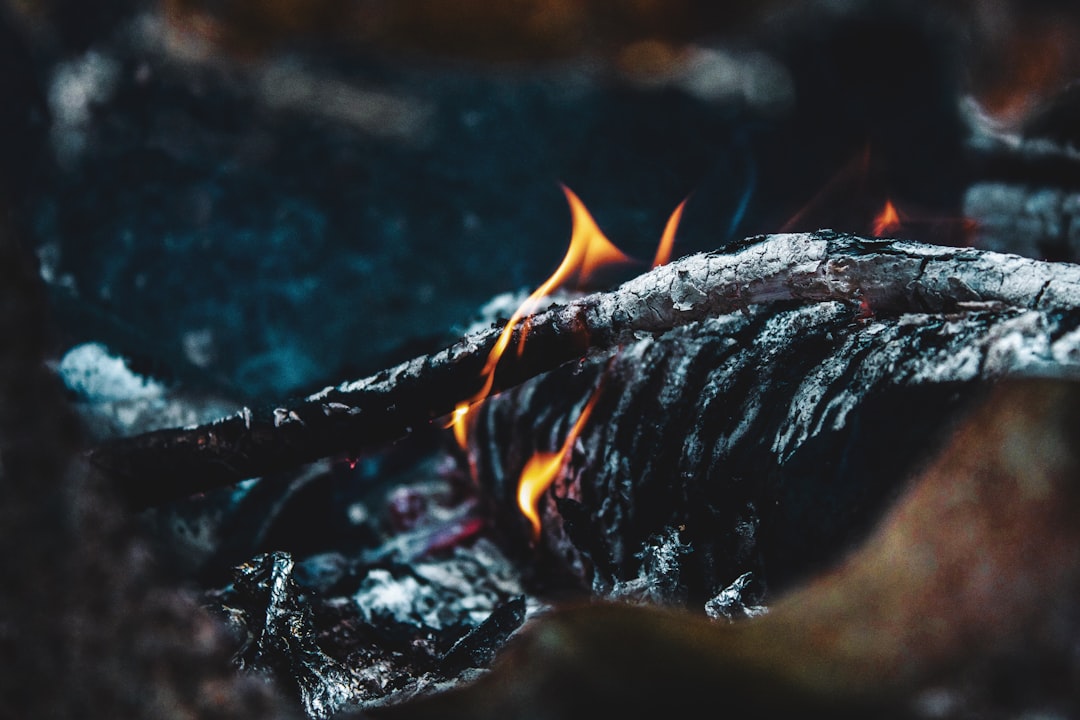 selective focus photo of fire