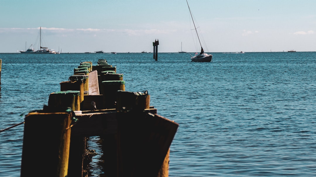 boat on the ocean photography