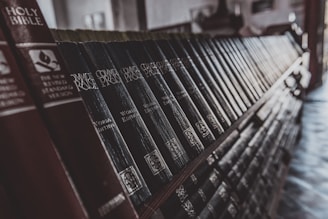 close-up photography of books on shelf
