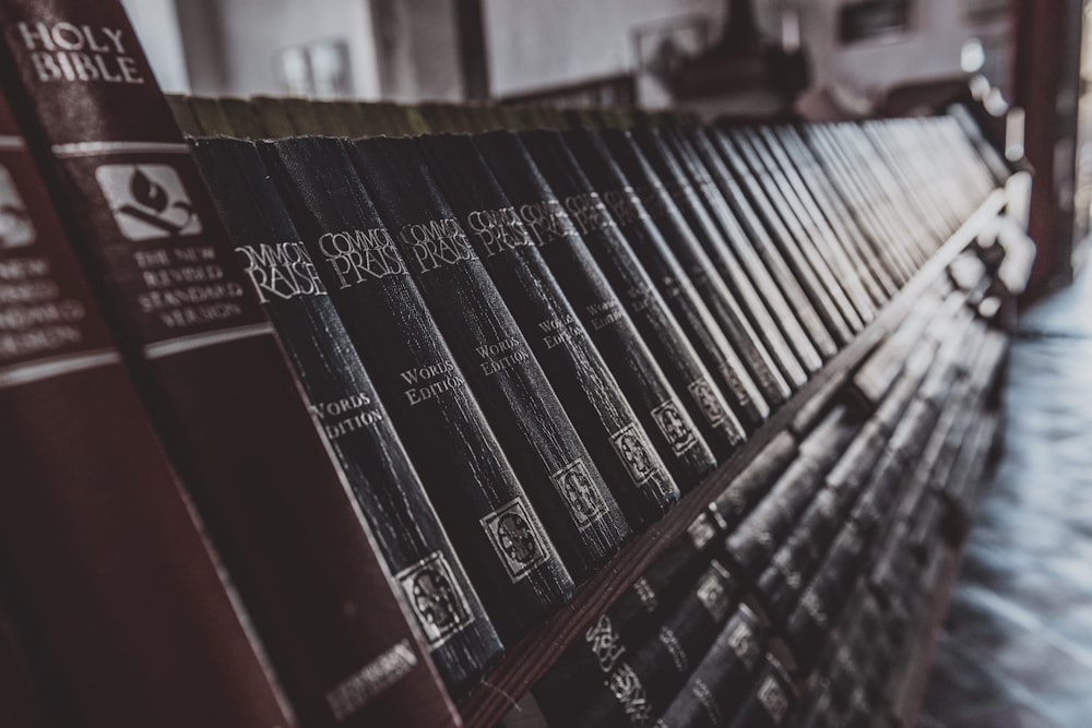 close-up photography of books on shelf