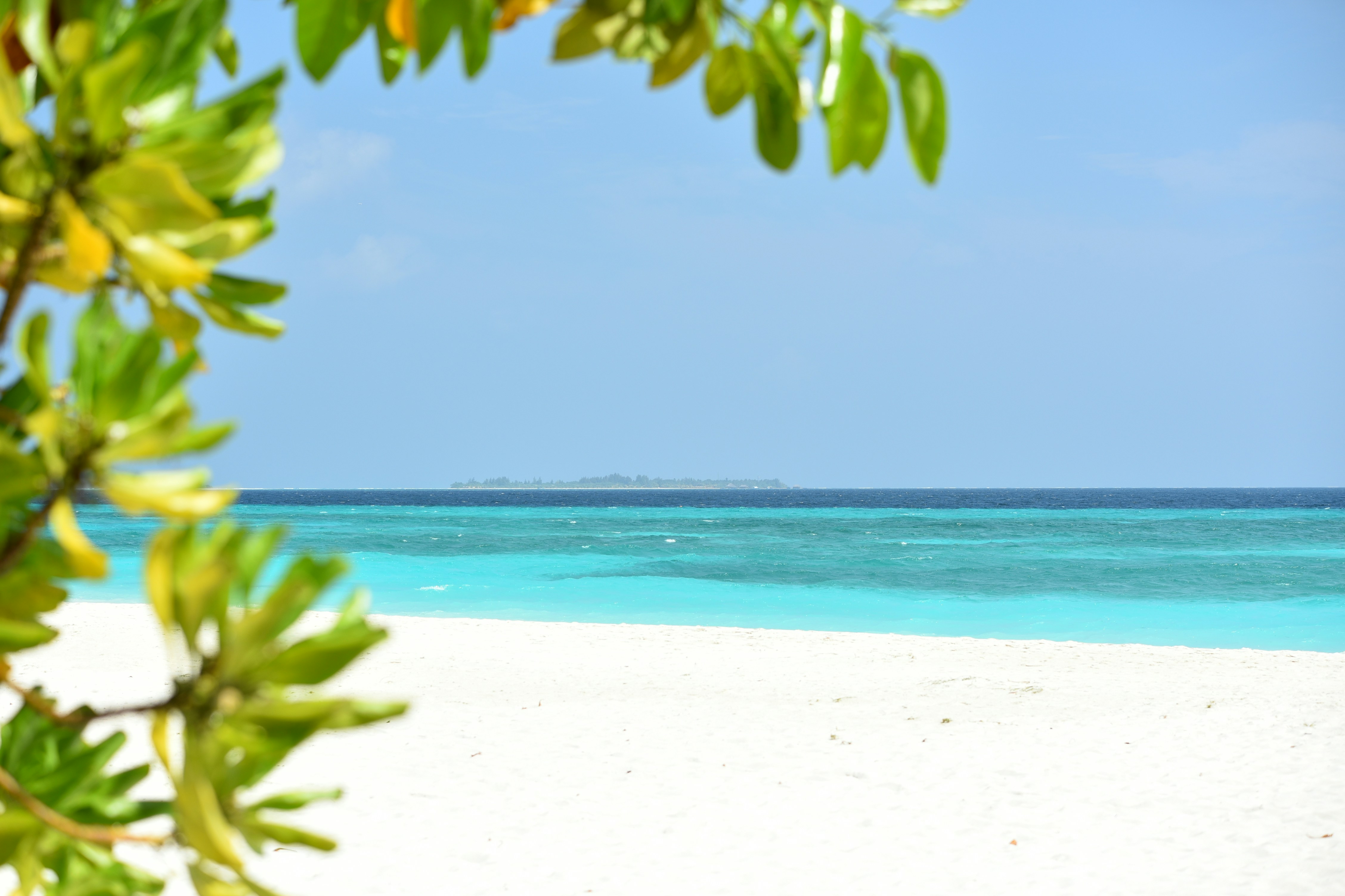 Photo by fritzdeberge