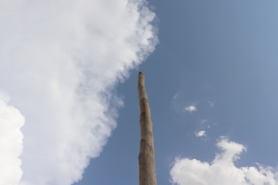 A tall wooden pole wall standing firm against a rugged hillside under a clear blue sky.