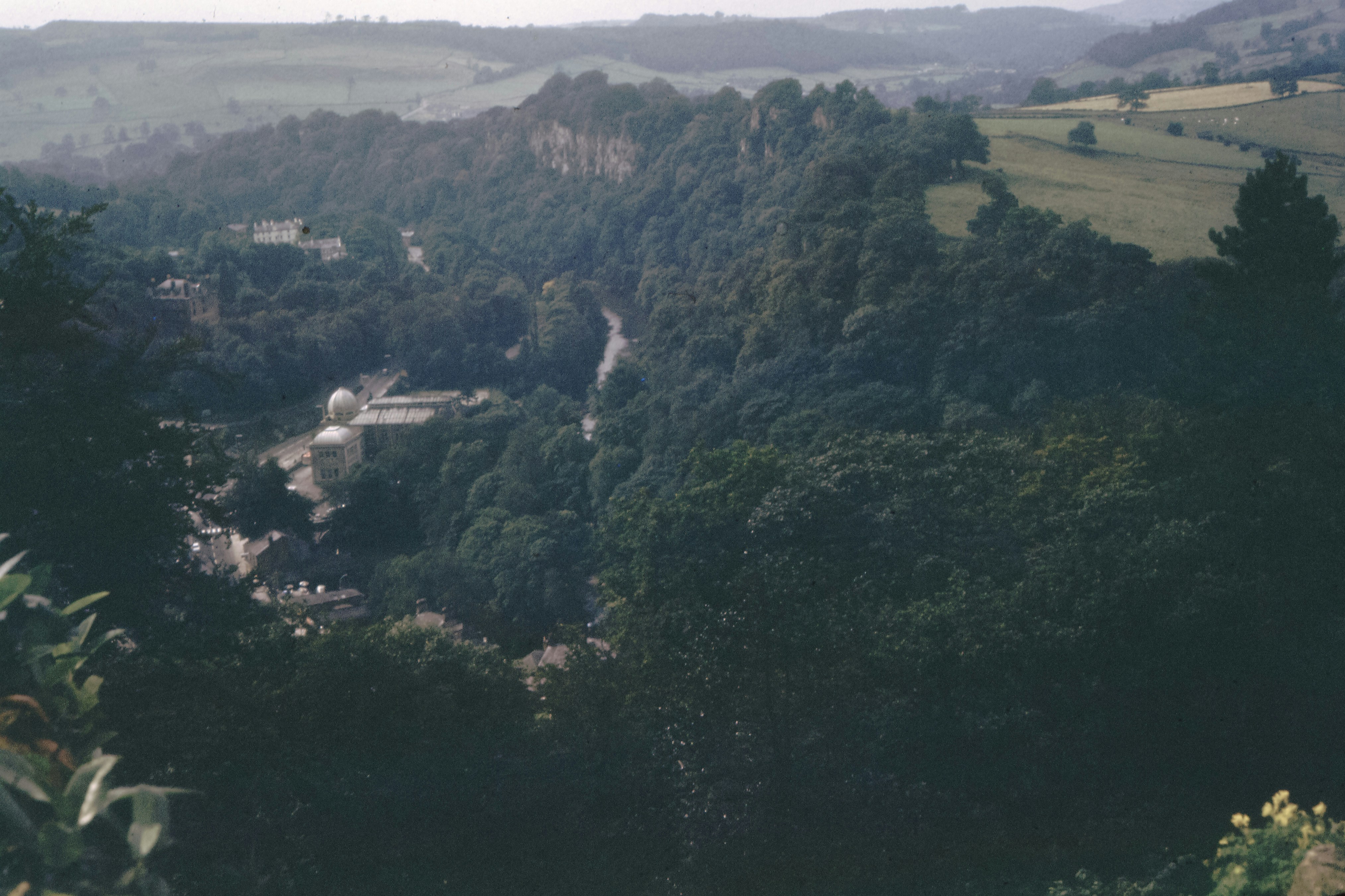 Photo by anniespratt