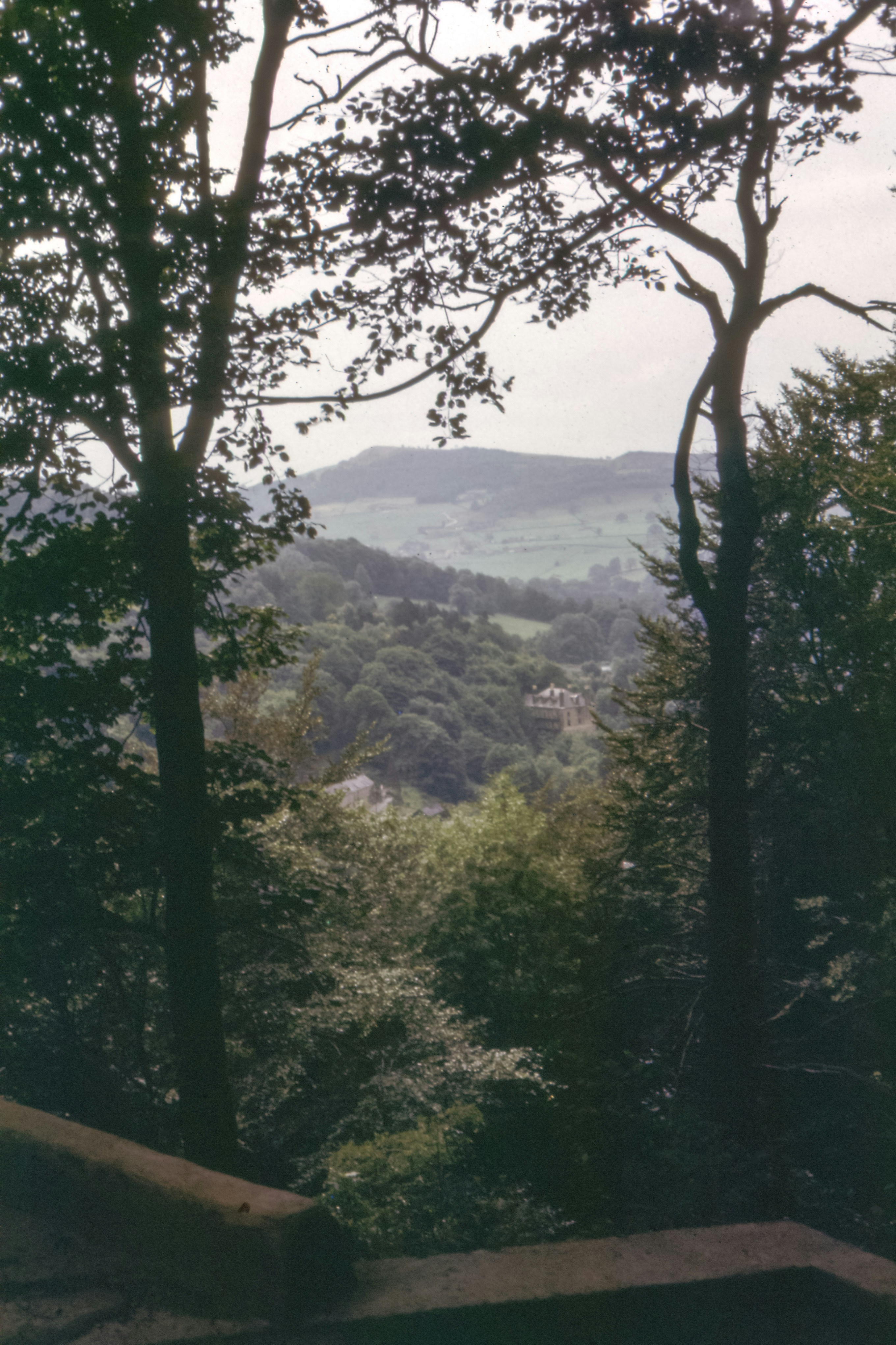 Photo by anniespratt