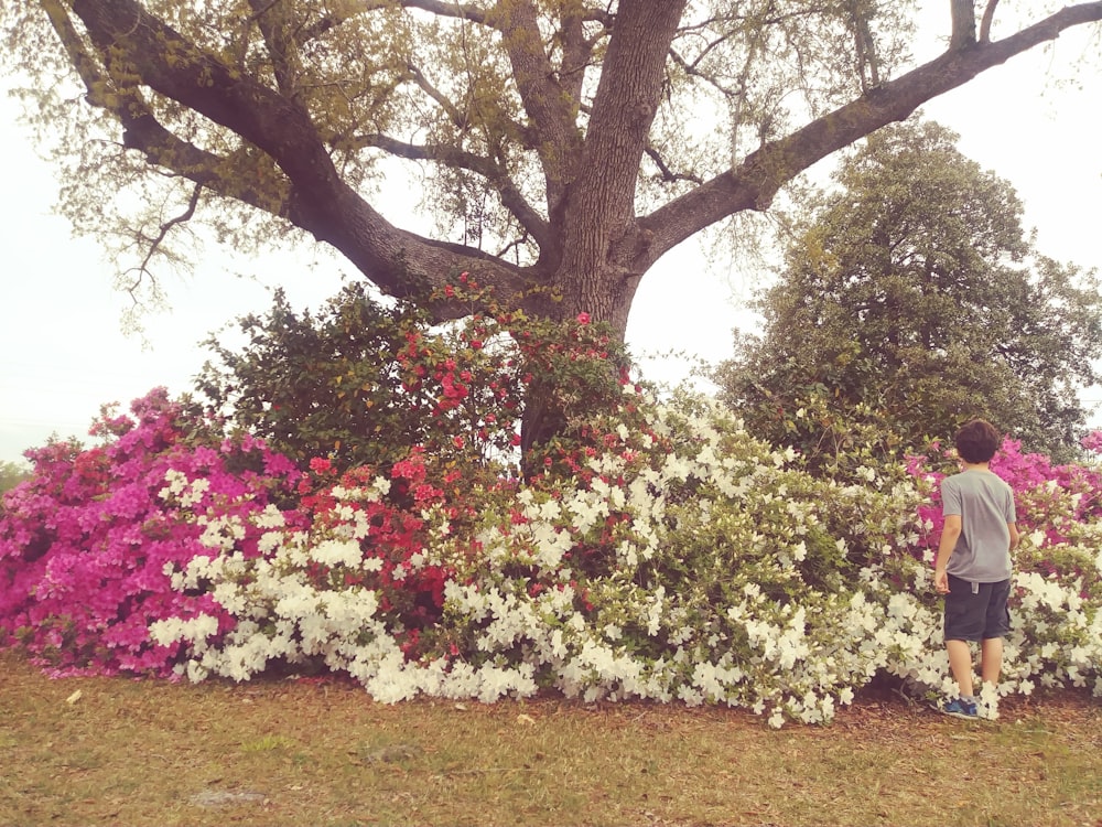 boy in gray shirt facing bougainvillea flowers