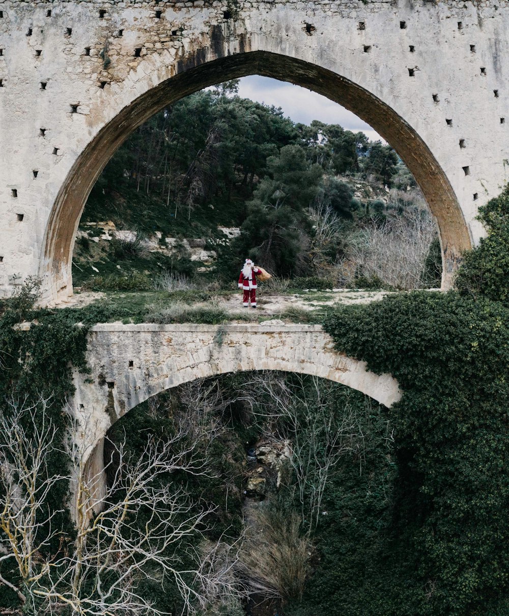 Santa Claus standing and carrying gift bag