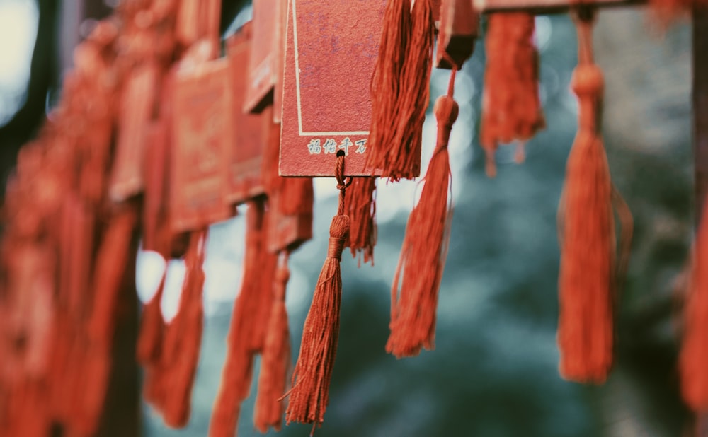 selective focus photography of brown tassels