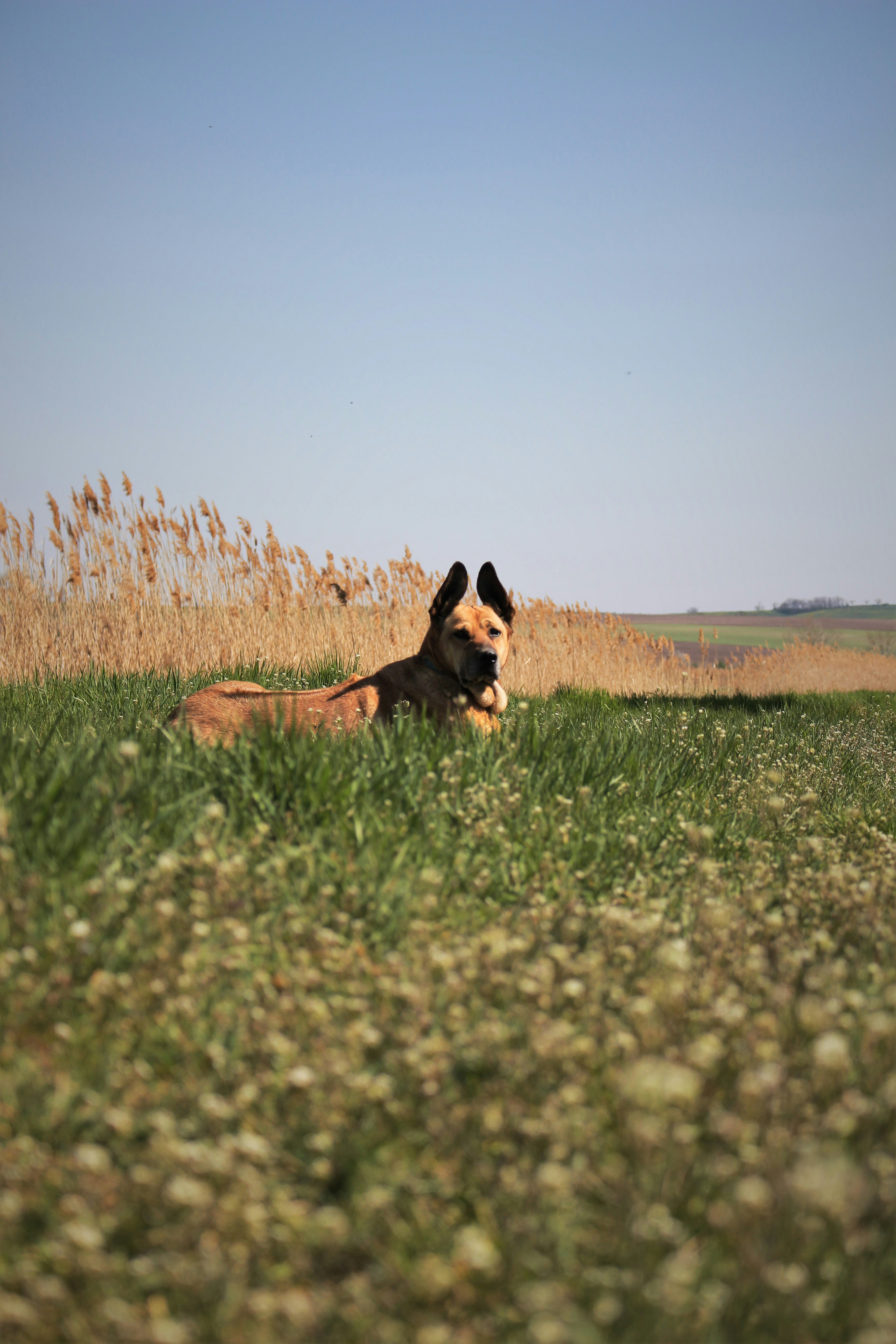 Photo by marjorylucabaxter