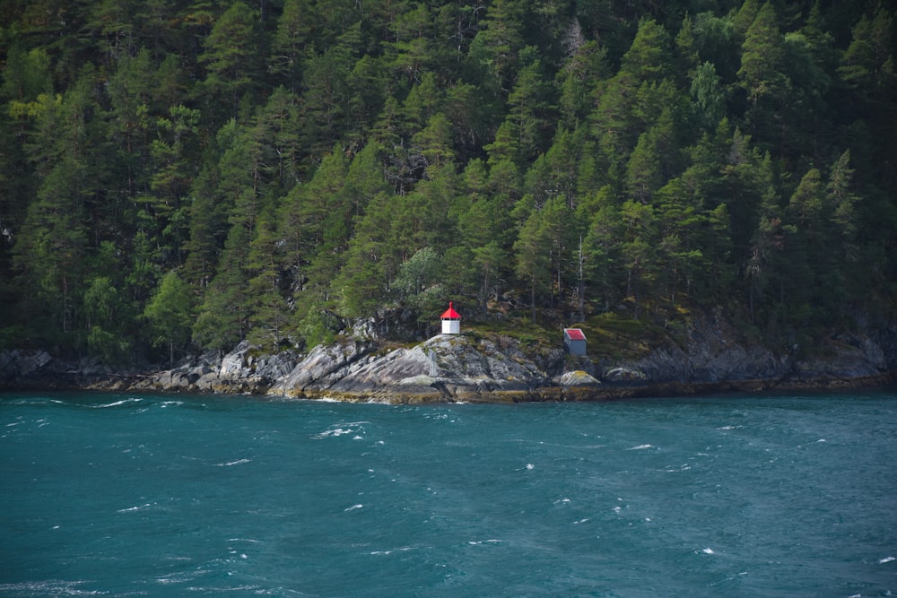 a lighthouse on a small island surrounded by trees