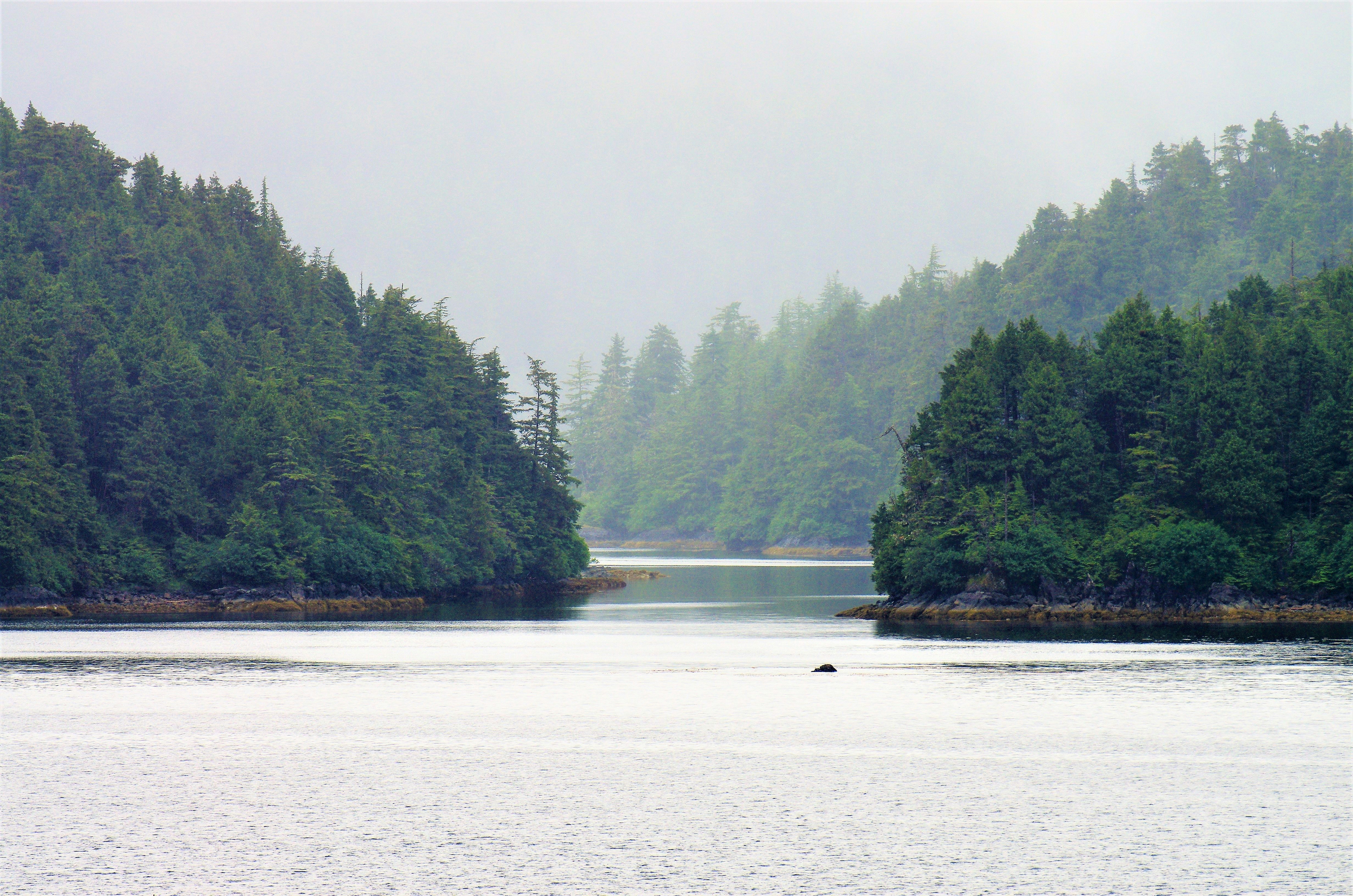 Photo by icehoundphotography