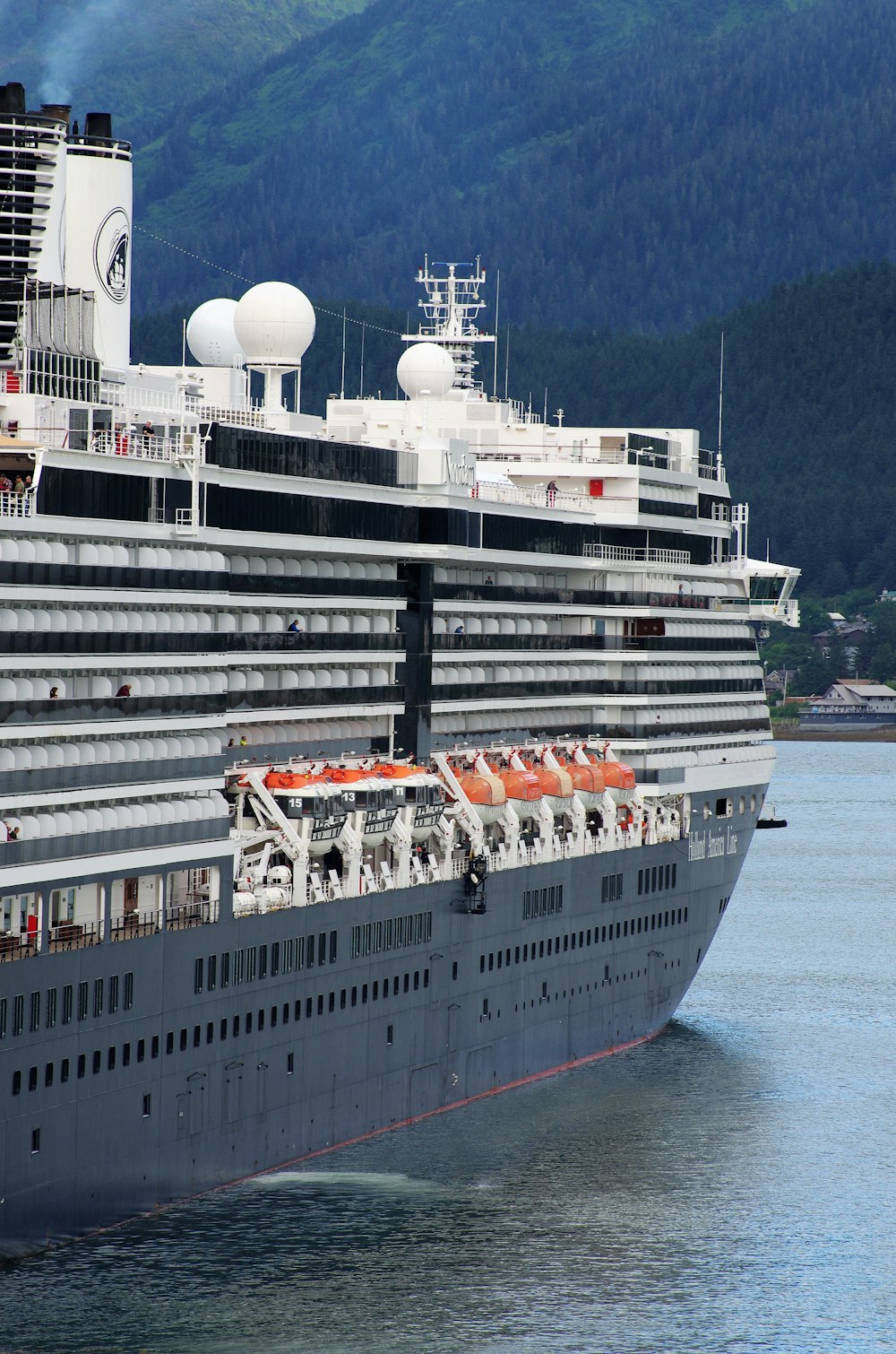 white and gray cruise ship on sea