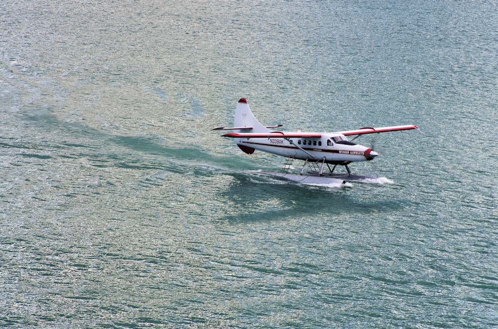 white and red seaplane riding on sea