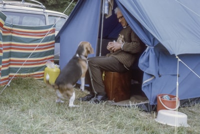 man sitting on brown box tent google meet background