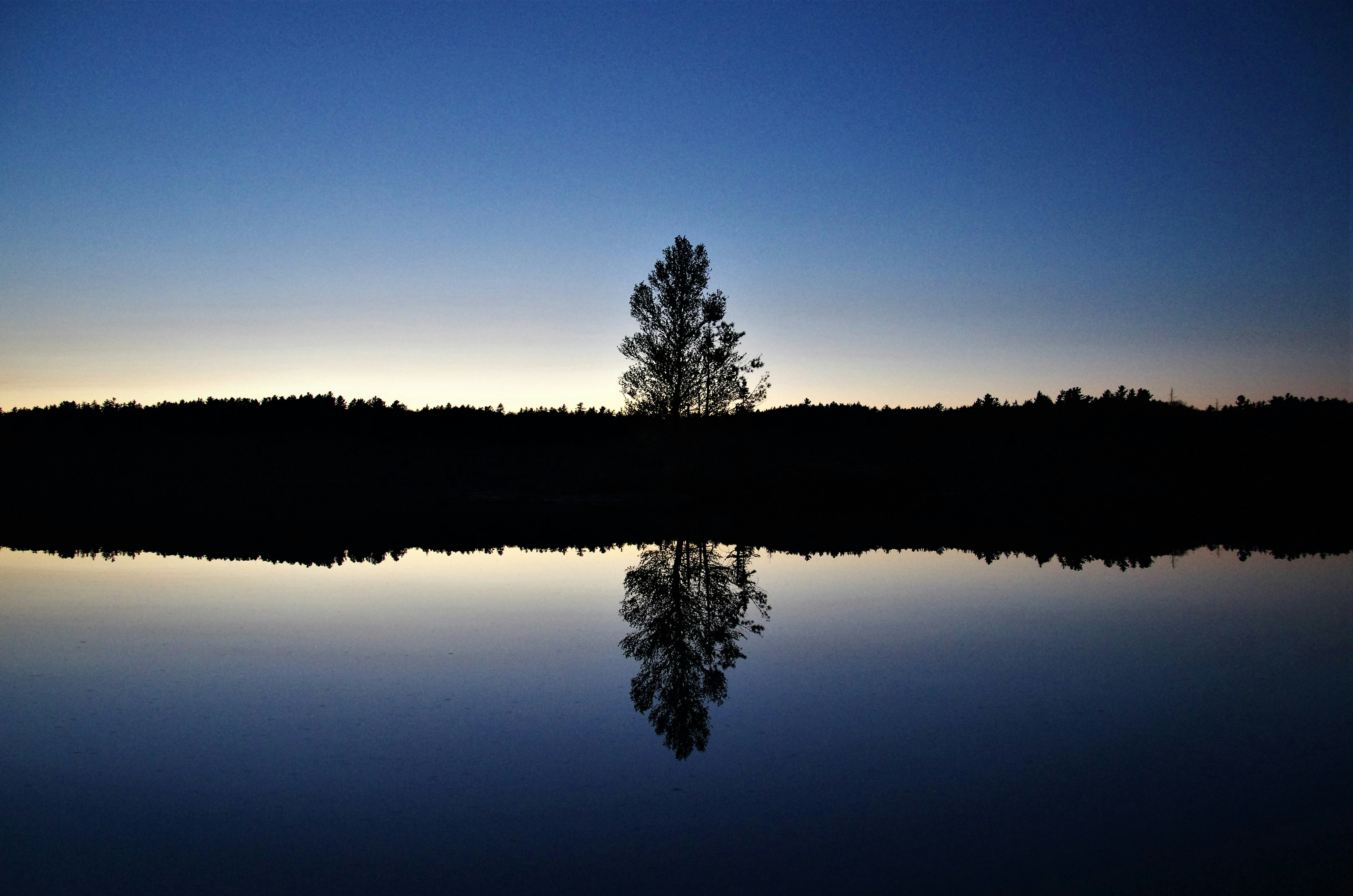 Photo by icehoundphotography