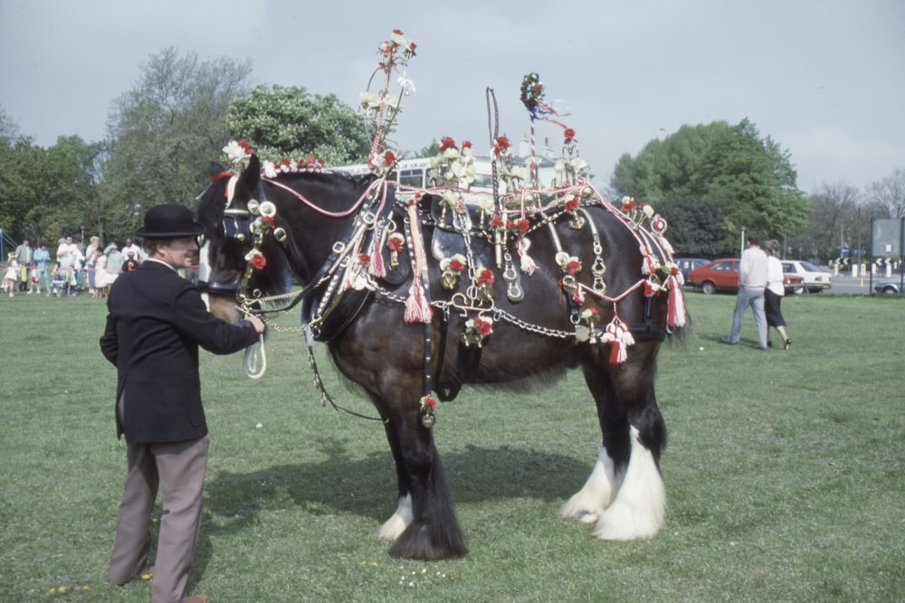 hombre de pie junto al caballo negro