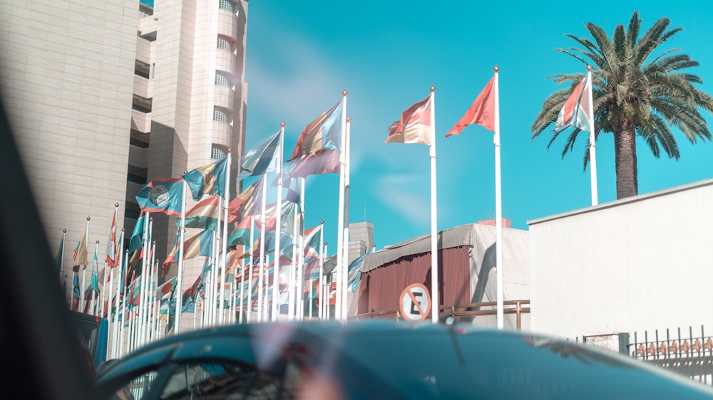 drapeaux assortis pendant la journée