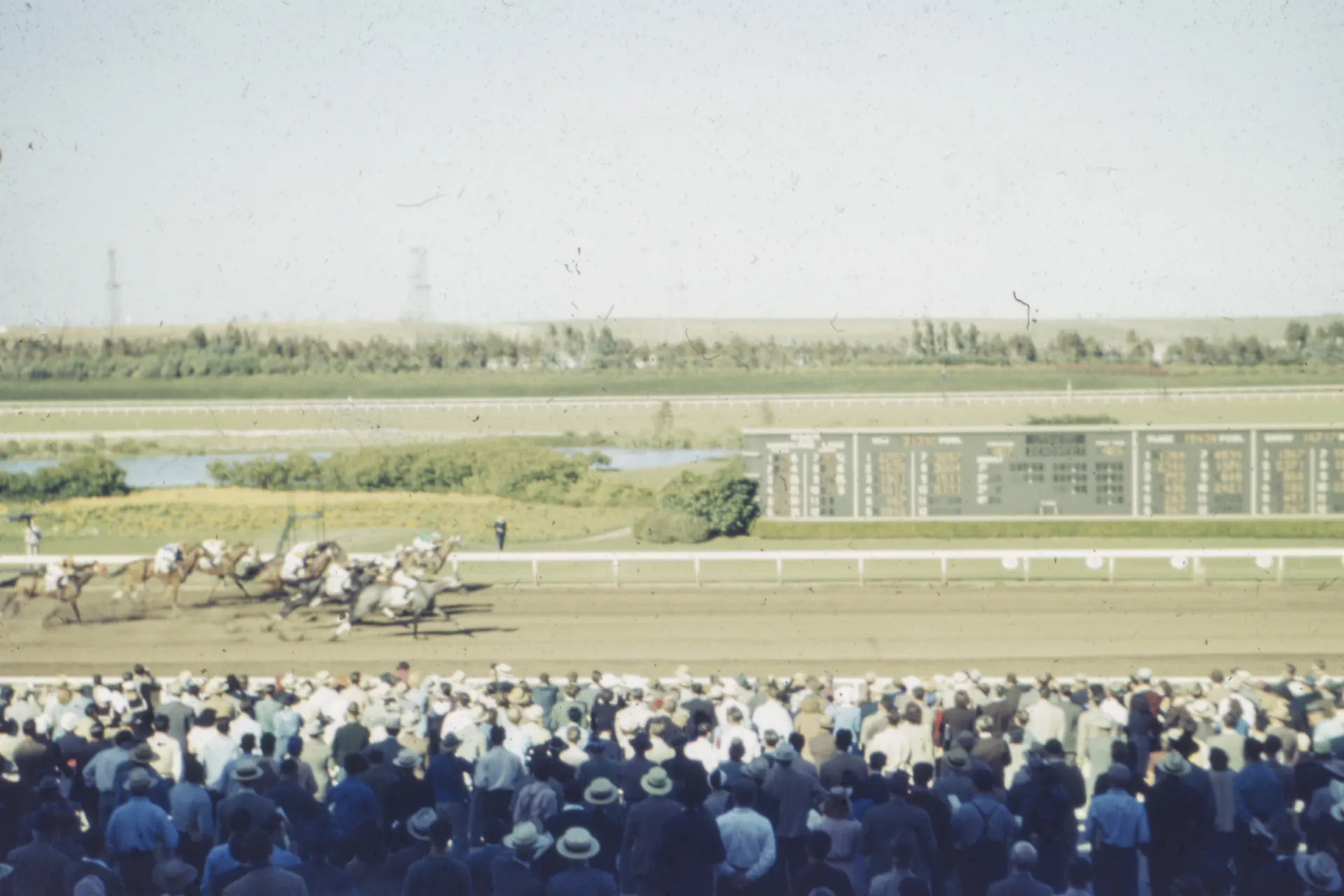 Darwin Cup Day 2033 countdown header photo