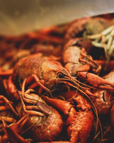 boiled louisiana crawfish