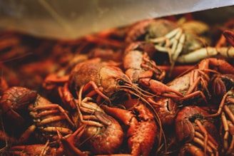A pile of reddish-orange crayfish with detailed textures on their shells. The image is focused on the cluster of crayfish, highlighting their claws and antennae.