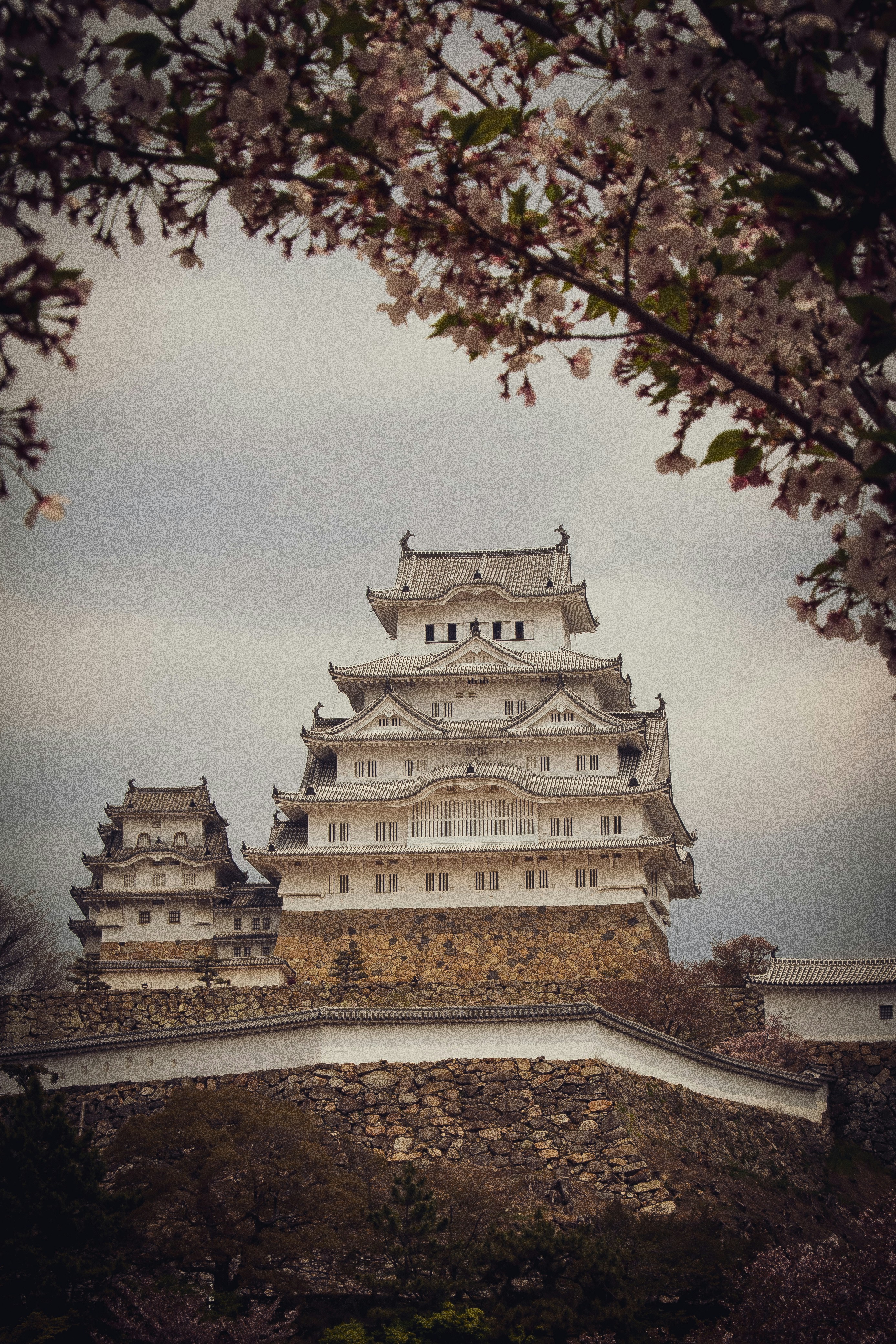 Photo by mirrorlessless