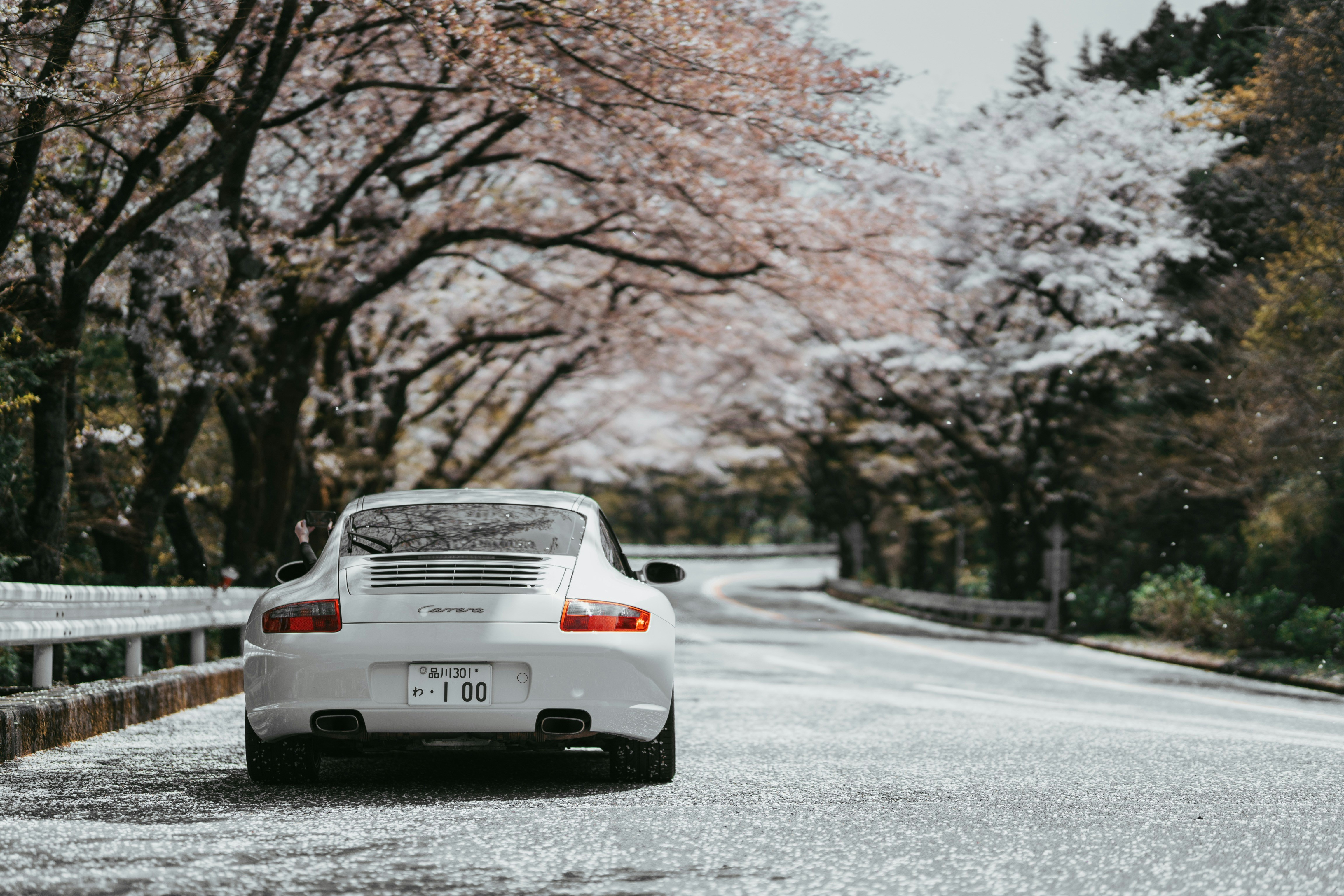 white coupe parked near tree porsche teams background