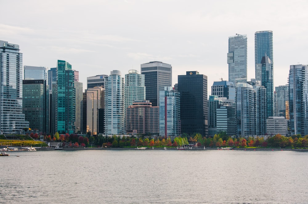 gray concrete buildings near body of water